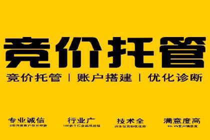SEM竞价广告的智能优化：成功案例解读
